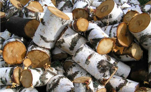 Какими дровами топить дровяную печь